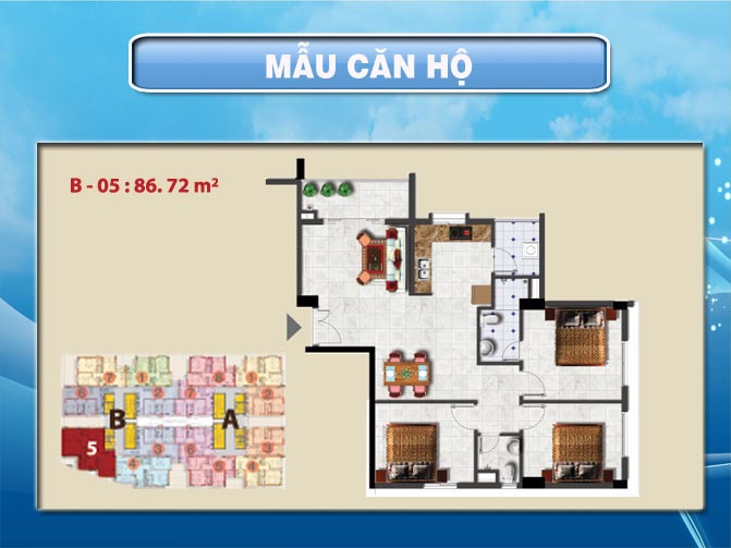 can ho mau 8