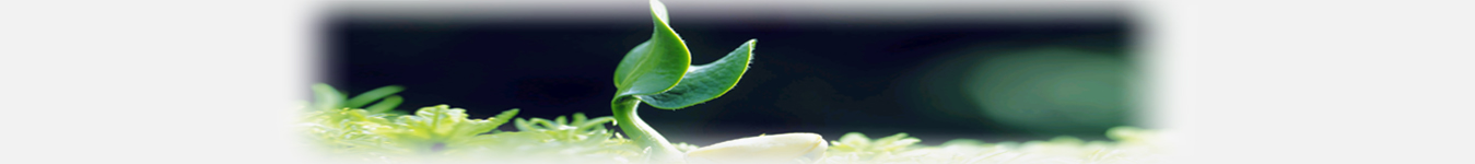 Banner qua trinh hinh thanh