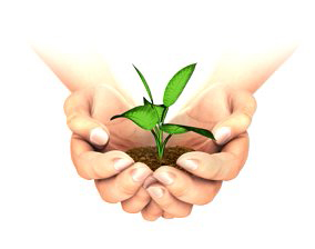 stock-footage-plant-growing-in-hands-on-white-background-with-luma-matte-you-can-choose-whatever-background-you
