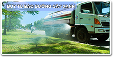 DUY TU BAO DUONG CAY XANH 3-3-1-1