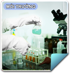 MOI TRUONG 8-8-1-1