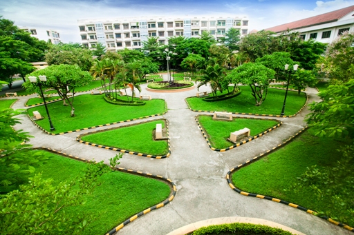 cong vien cay xanh